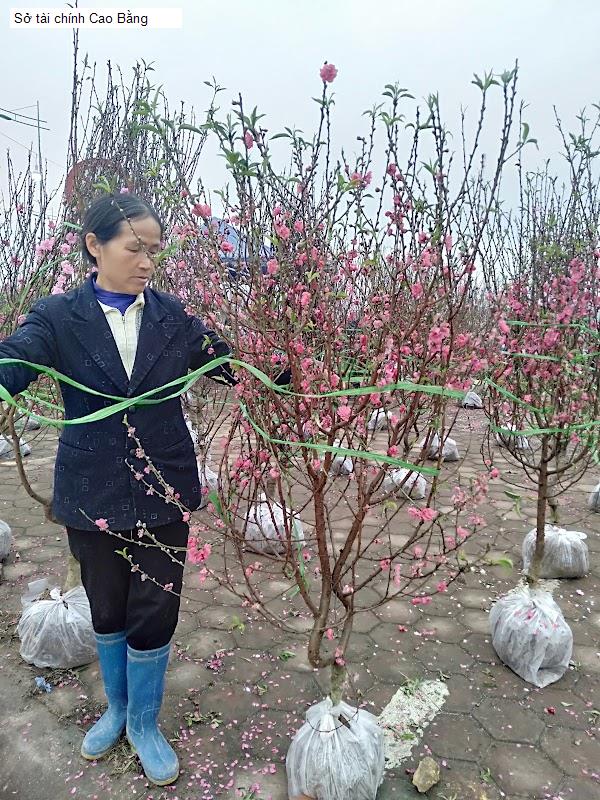 Sở tài chính Cao Bằng