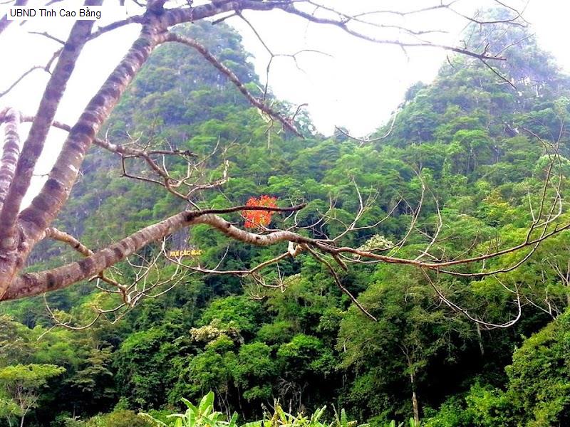 UBND Tỉnh Cao Bằng