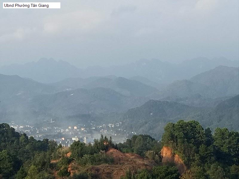 Ubnd Phường Tân Giang