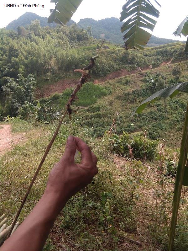 UBND xã Đình Phùng