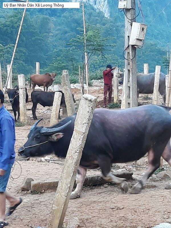 Uỷ Ban Nhân Dân Xã Lương Thông