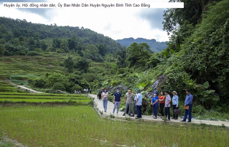 Huyện ủy, Hội đồng nhân dân, Ủy Ban Nhân Dân Huyện Nguyên Bình Tỉnh Cao Bằng