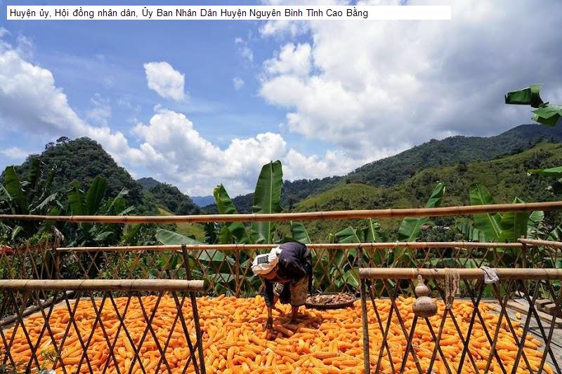 Huyện ủy, Hội đồng nhân dân, Ủy Ban Nhân Dân Huyện Nguyên Bình Tỉnh Cao Bằng