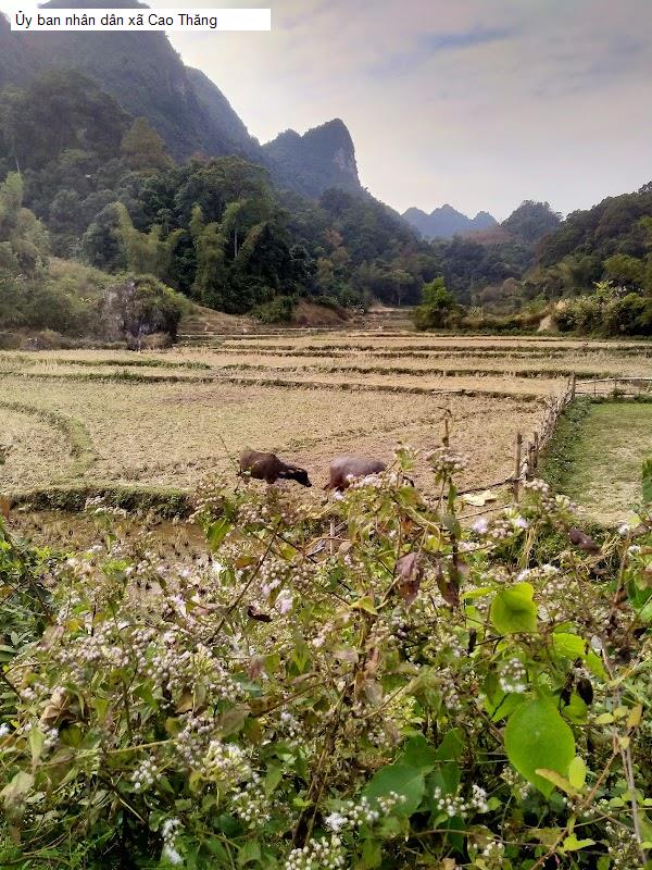 Ủy ban nhân dân xã Cao Thăng