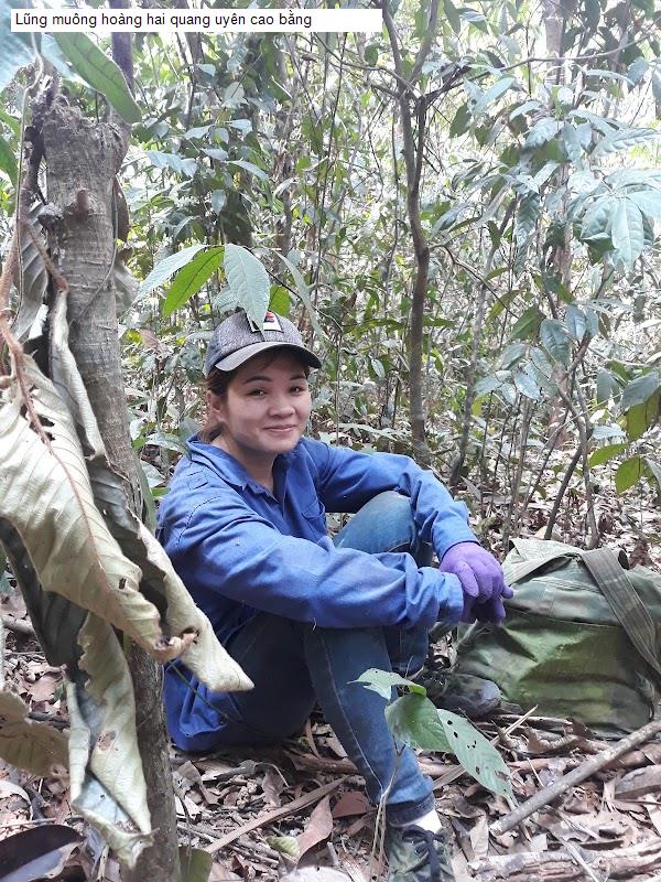Lũng muông hoàng hai quang uyên cao bằng