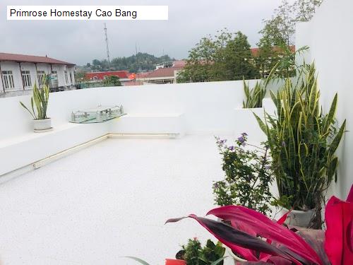 Hình ảnh Primrose Homestay Cao Bang
