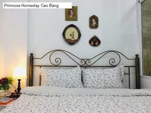 Bảng giá Primrose Homestay Cao Bang