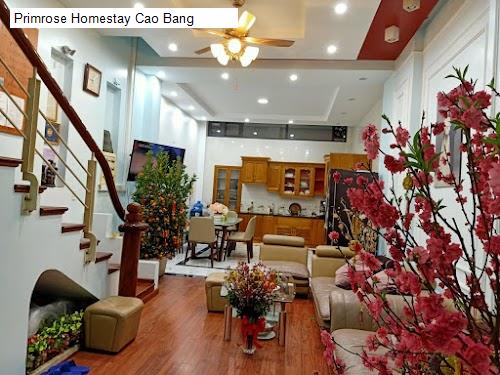 Vị trí Primrose Homestay Cao Bang