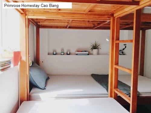 Phòng ốc Primrose Homestay Cao Bang